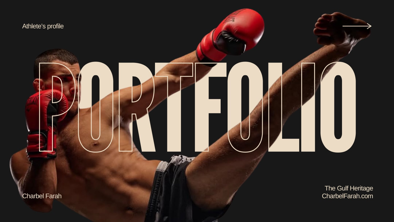 Charbel Farah Portfolio