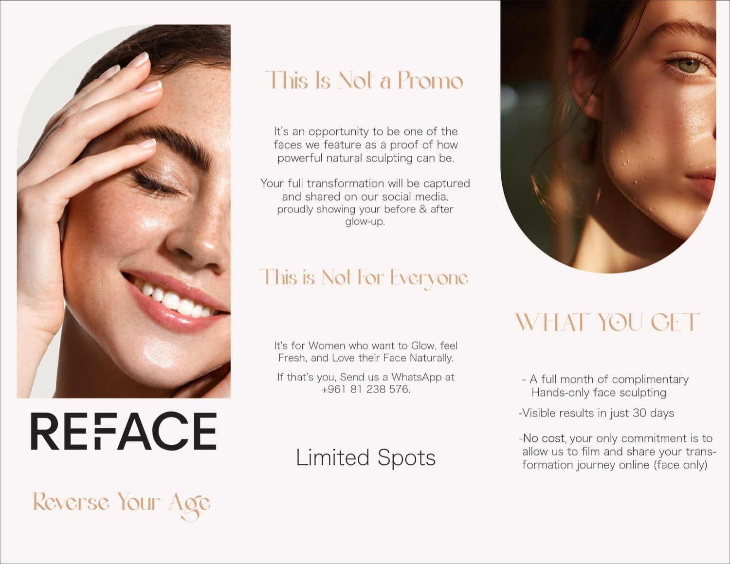 RFACE Brochure